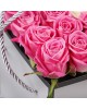 Kutuda Pembe Gül 20 Adet